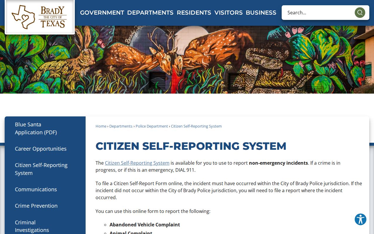 Brady criminal history citizen self-reporting system